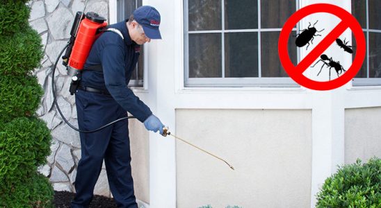Eşrefpaşa Bit İlaçlama böcek ilaçlama ve haşere kontrolü — ilaclama-tr.com